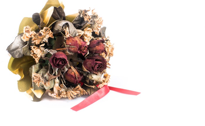 Family Court: The Most Overlooked Form of Domestic&nbsp;Abuse