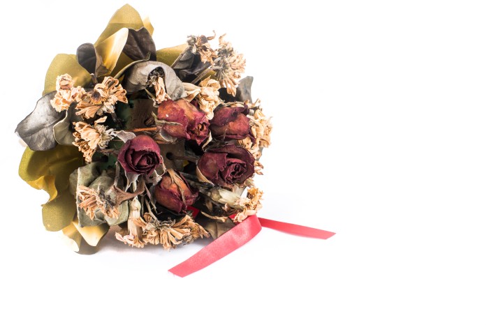 dry rose bouquet on white blackground