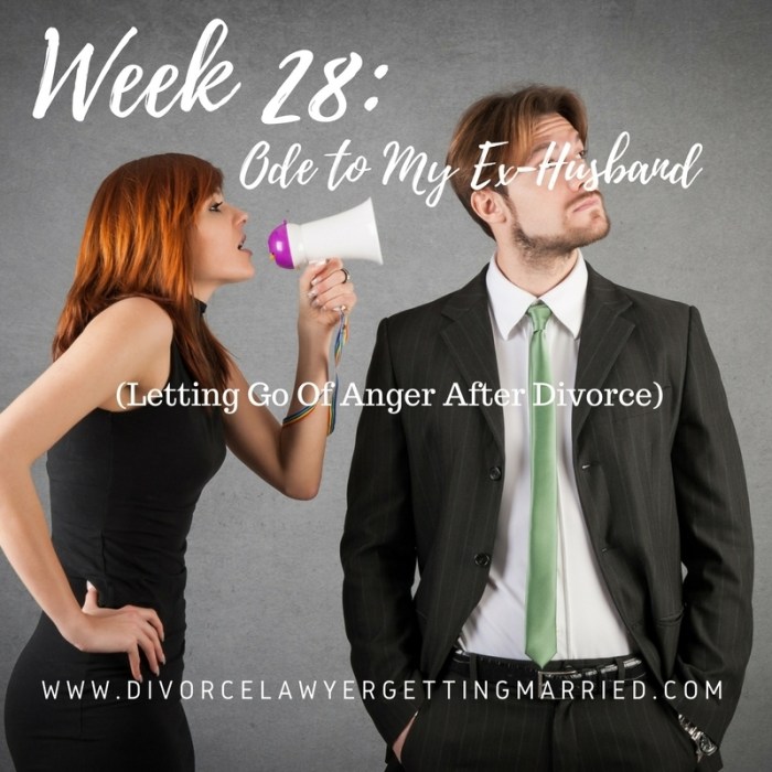 divorcelawyergettingmarried1