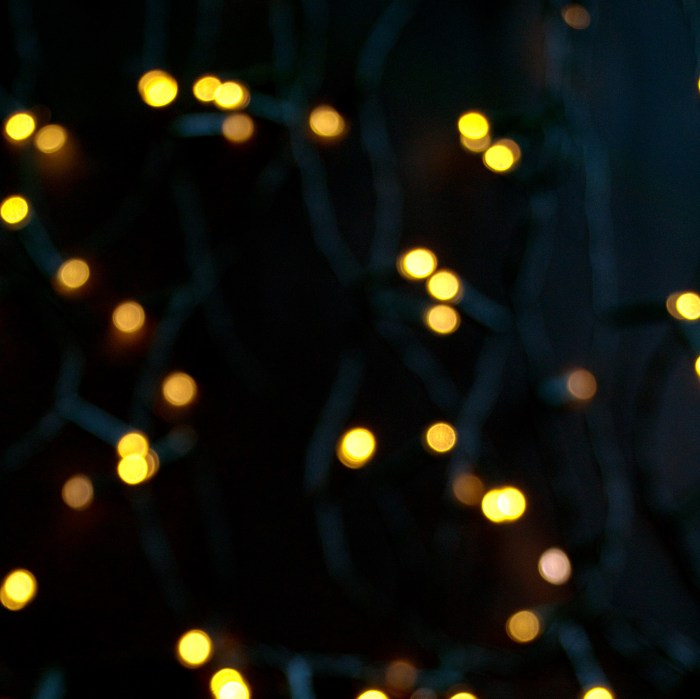 Cookies star-shaped folded slide on the background lights.